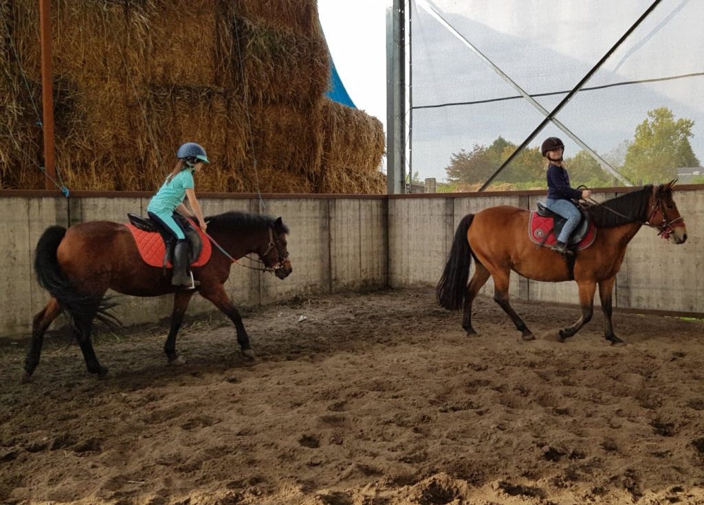 Cours équitation