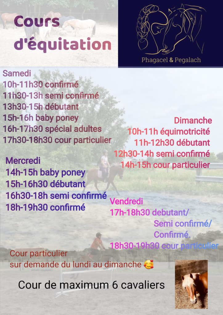 Horaires des cours d'équitation chez Phagacel & Pégalach ASBL.