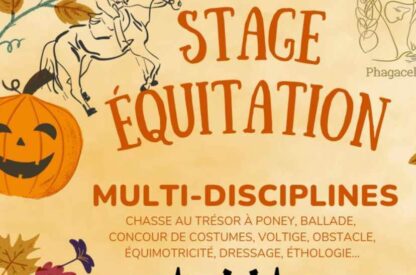 Affiche pour le stage d'équitation halloween/toussaint