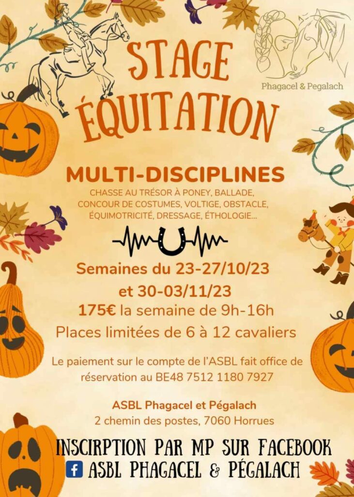 Affiche pour le stage d'équitation halloween/toussaint