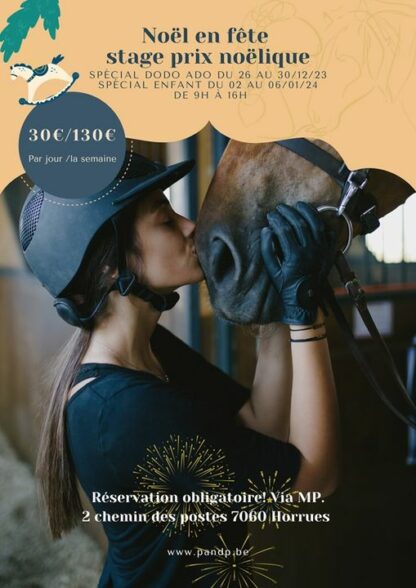 Stages d'équitation de Noël/Nouvel an